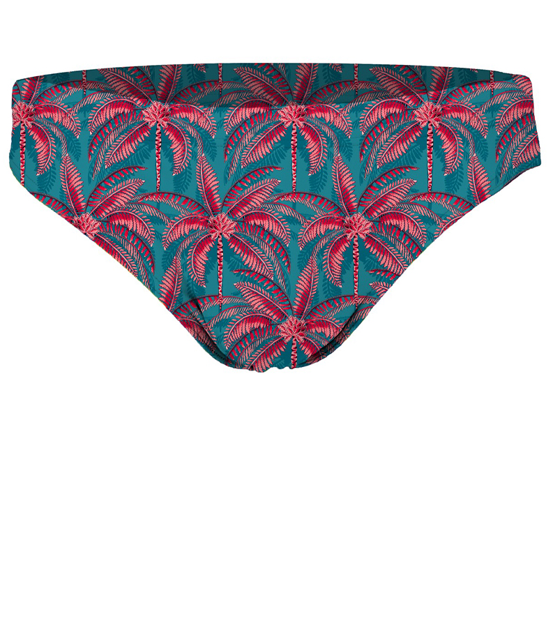 ZEYBRA - BRIEF MAN PALME PETROLIO
